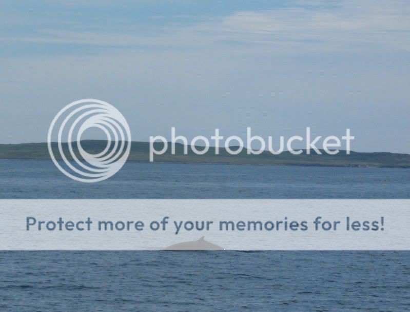 TR Newfoundland Ferry to St. Pierre